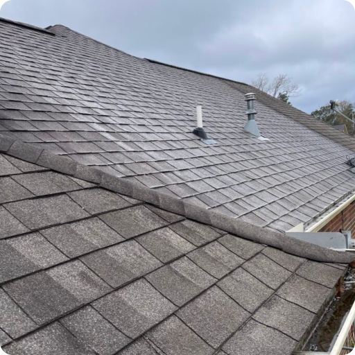 ROOF WASHING